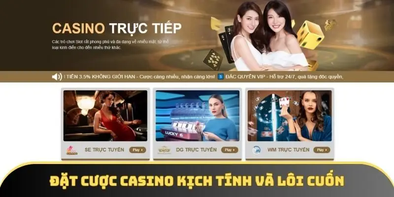 Đặt cược casino kịch tính và lôi cuốn