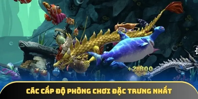 Các cấp độ phòng chơi đặc trưng nhất Các cấp độ phòng chơi đặc trưng nhất