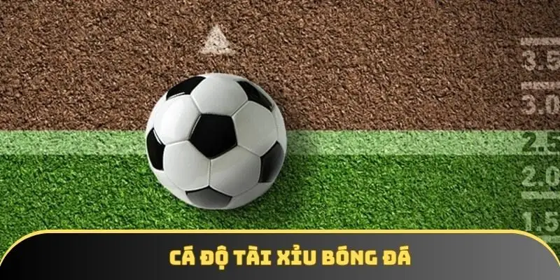 Cá độ tài xỉu bóng đá | Khái niệm và bài học được áp dụng