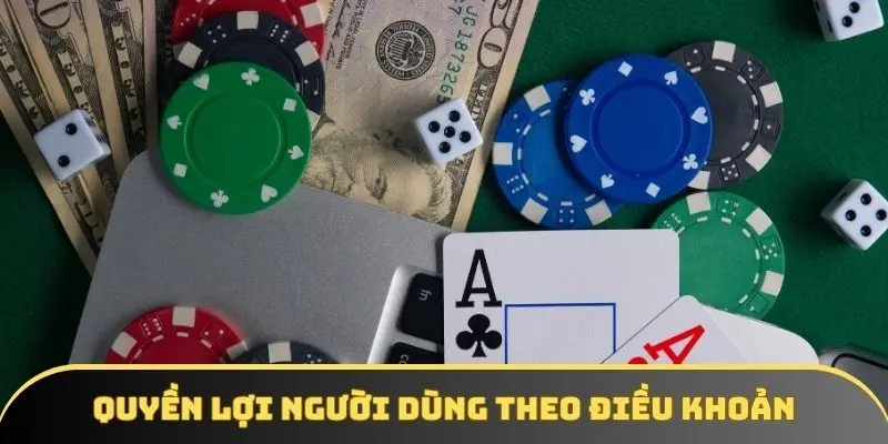 Quyền lợi người dùng theo điều khoản và điều kiện của 5MB Quyền lợi người dùng theo điều khoản và điều kiện của 5MB