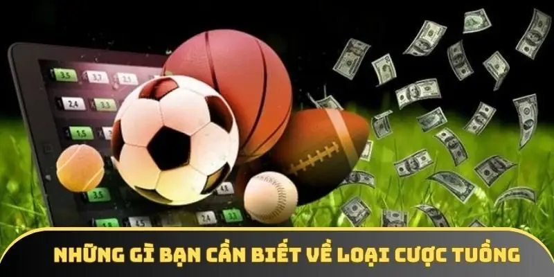 Những gì bạn cần biết về loại cược tuồng Những gì bạn cần biết về loại cược tuồng