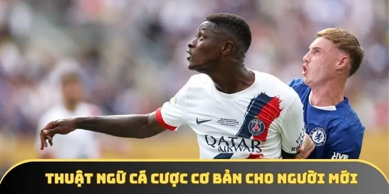 Thuật ngữ cá cược thể thao - Kinh nghiệm quý cho người mới